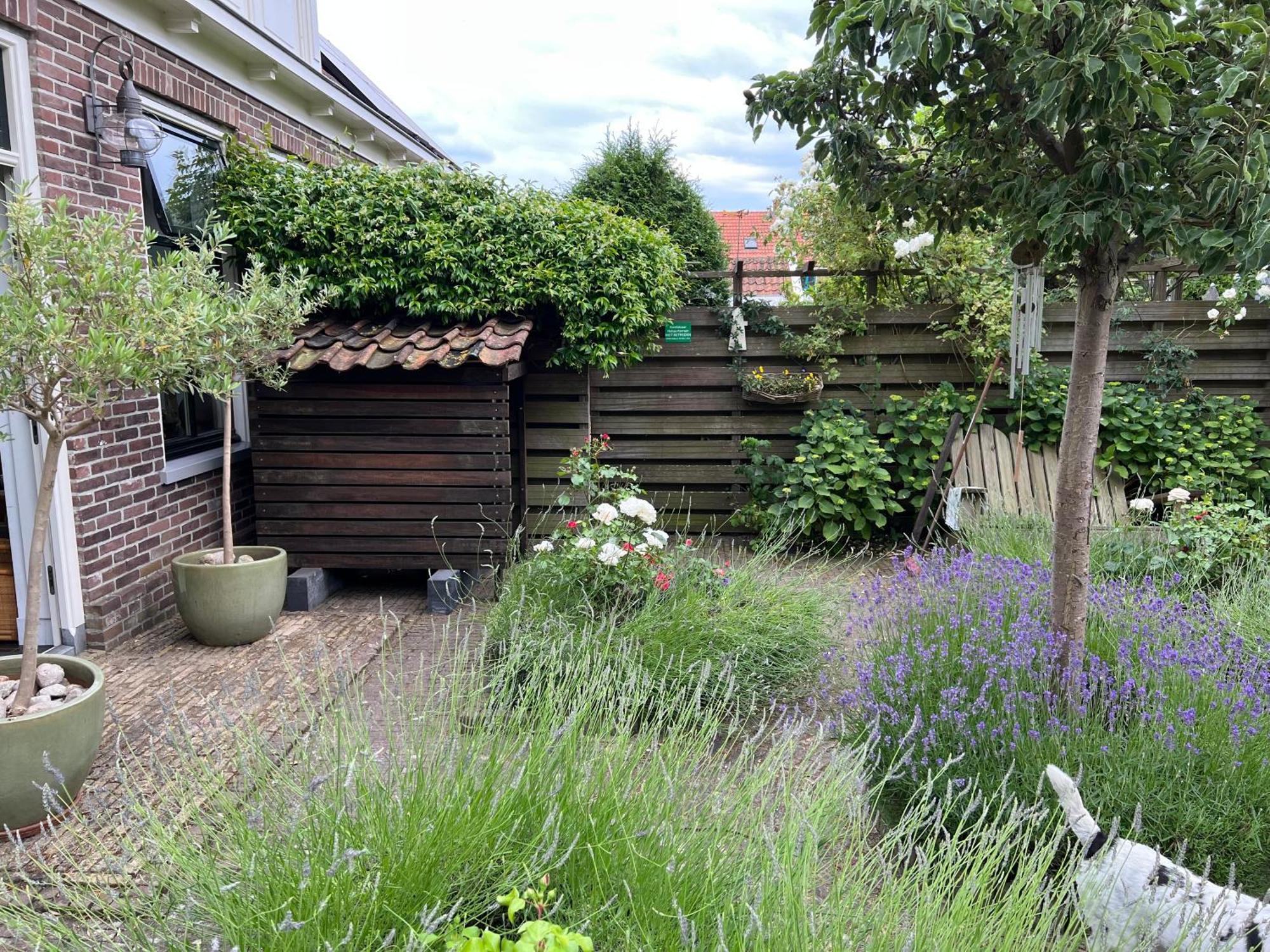 Ferienwohnung De Walvisch Edam Exterior foto